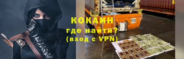 крисы Бронницы