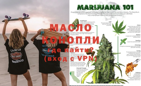 крисы Бородино