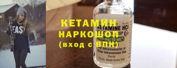крисы Бородино