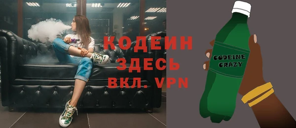 крисы Бородино