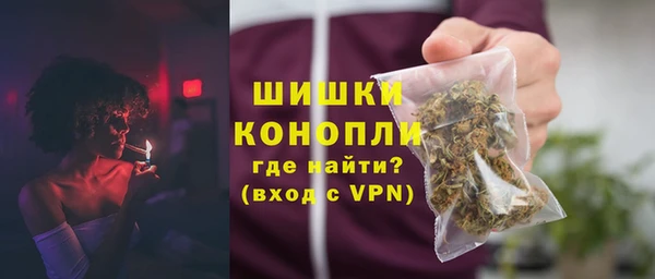 крисы Бородино