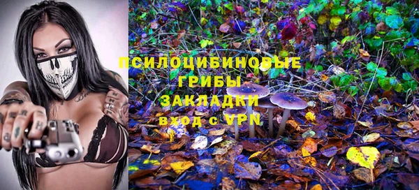 крисы Бородино