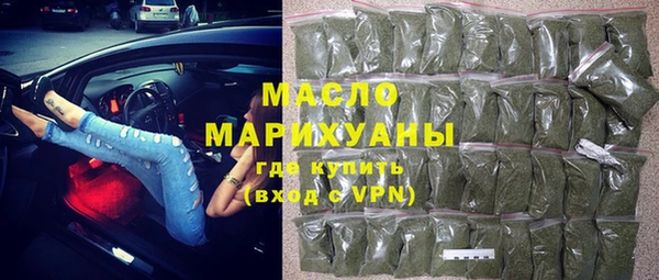 крисы Бородино