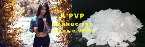 крисы Бородино