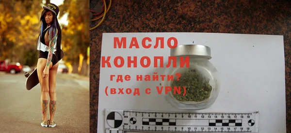 крисы Бронницы