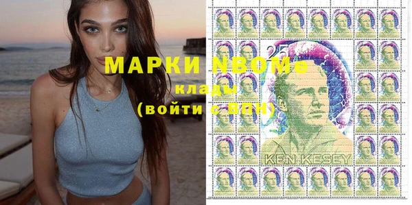 крисы Бородино
