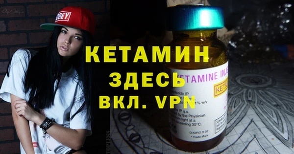 крисы Бородино