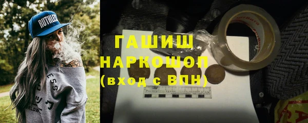 крисы Бородино