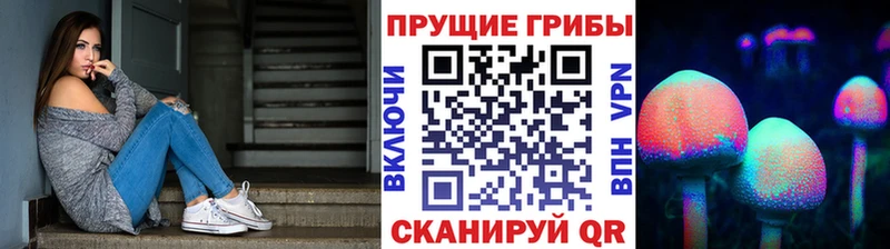 Псилоцибиновые грибы Psilocybine cubensis  как найти наркотики  MEGA зеркало  Подольск 